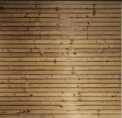 VIVAVIEW NORDSTRAND SENKRECHT TMT Kiefer/Fichte Sichtschutzelement – Bild 4